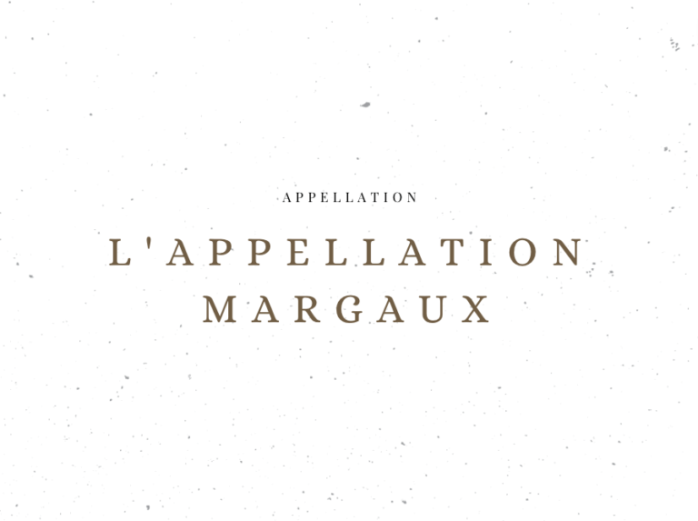 L'appellation Margaux - Les appellations viticoles - Le Clos des Grands Crus