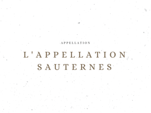 L'appellation Sauternes - Les appellations viticoles - Le Clos des Grands Crus