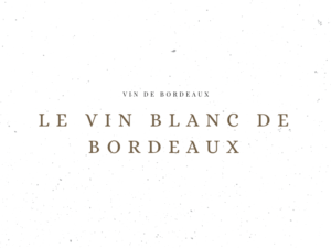 Le Vin Blanc de Bordeaux - Vin de Bordeaux - Le Clos des Grands Crus
