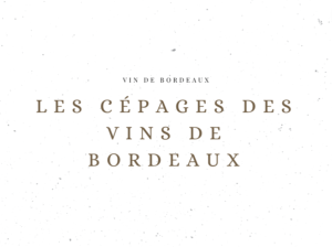 Les Cépages des Vins de Bordeaux - Le Vin de Bordeaux - Le Clos des Grands Crus