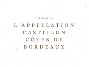 L'appellation Castillon Côtes de Bordeaux - Les appellations viticoles - Le Clos des Grands Crus