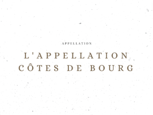 L'appellation Côtes de Bourg - Les appellations viticoles - Le Clos des Grands Crus