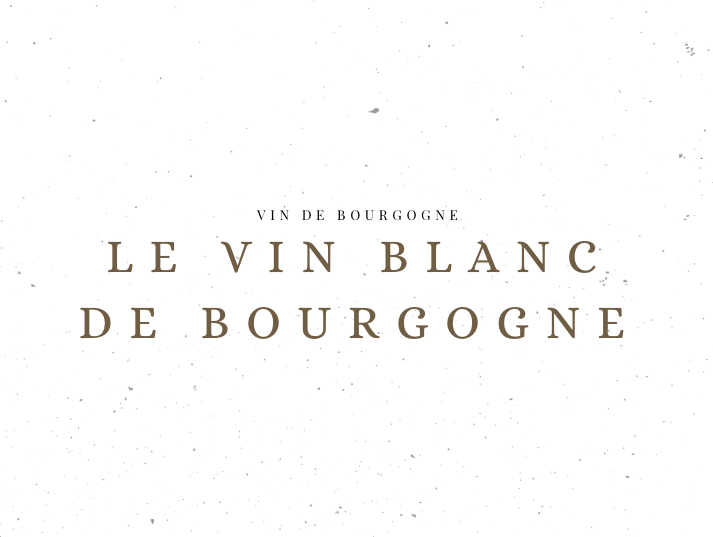 Tout savoir sur le vin blanc de Bourgogne - Guide - Le Clos des Grands Crus