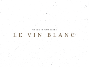 Le vin blanc - Guide & Conseils - Le Clos des Grands Crus