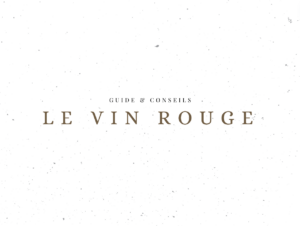 Le vin rouge - Guide & Conseils - Le Clos des Grands Crus